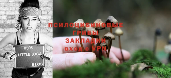 твердый Богородицк
