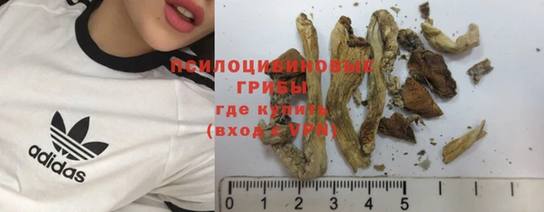 твердый Богородицк