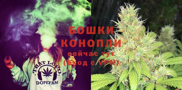твердый Богородицк