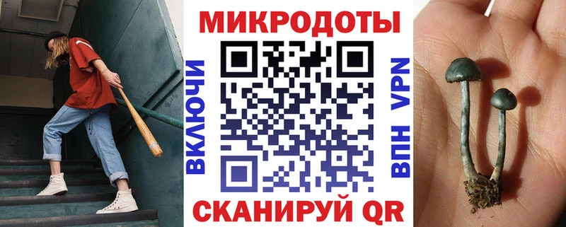 OMG зеркало  Можайск  Галлюциногенные грибы прущие грибы 